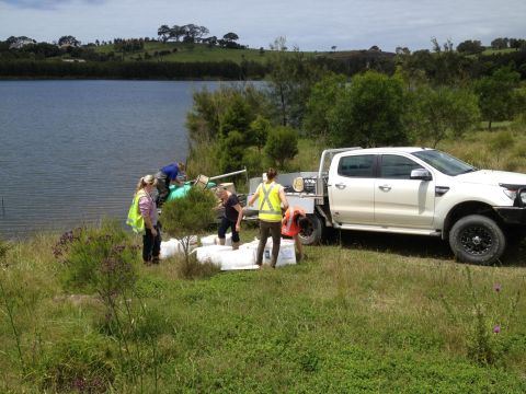 Volunteers and Boral team members preparing to release Australian bass fingerlings into the Stage 1 (Swamp Road) ponds at Dunmore 