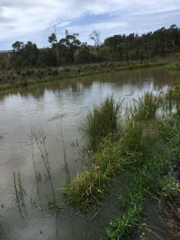 Progress of the rehabilitation at the realigned western tributary of Rocklow Creek, Dunmore Sand & Soil (Nov 2017) 