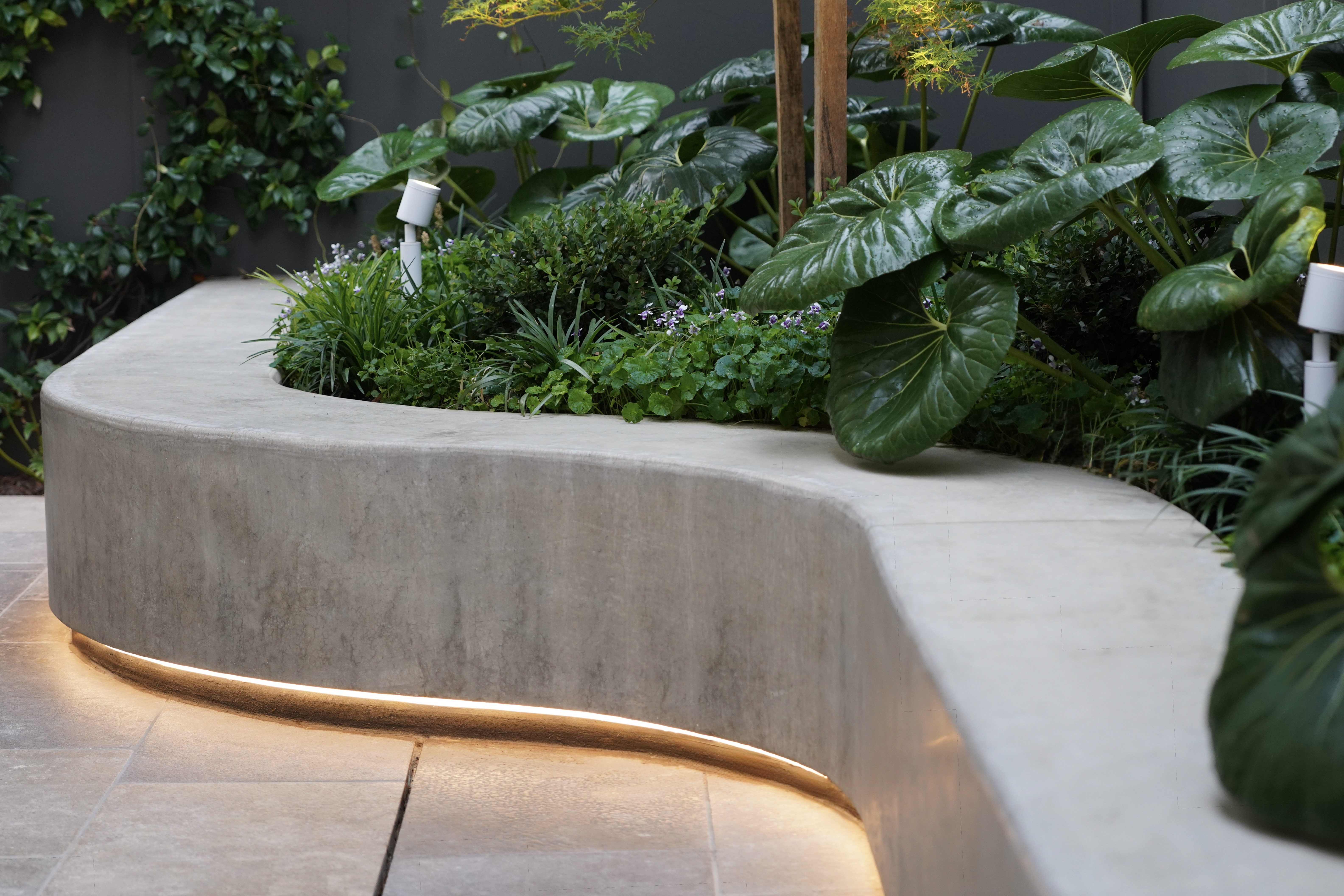 North Adelaide Garden - Yergan Landscape - standard concrete