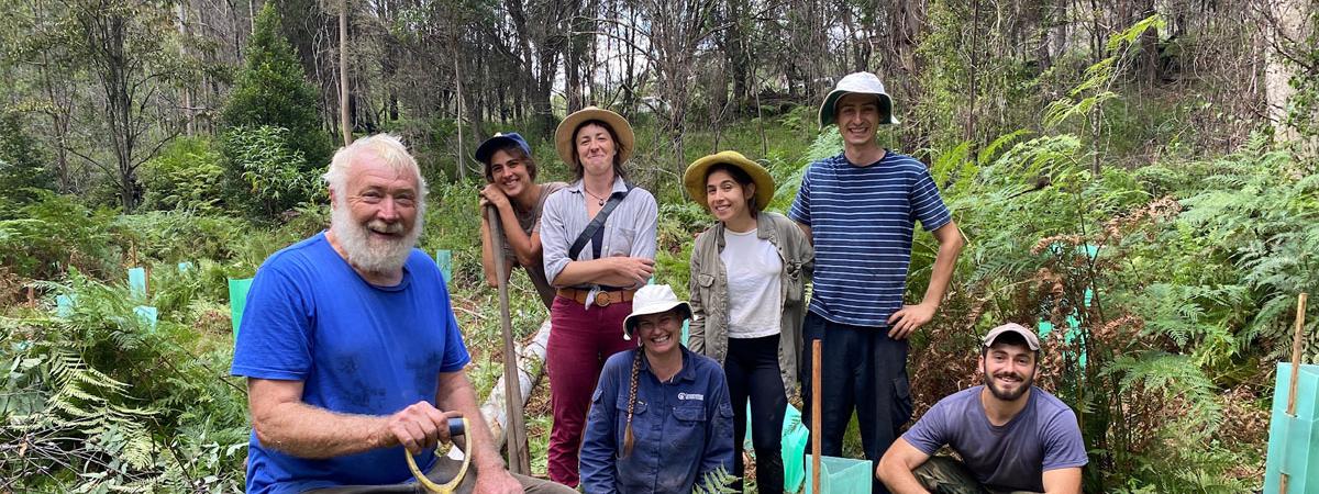 National bushfire recovery work restarts