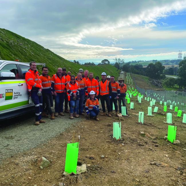 Coldstream Quarry 300 trees