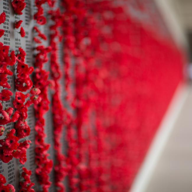 Red poppies at a war memorial