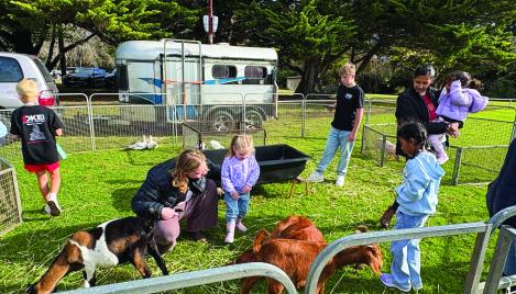 Berrima Family Day