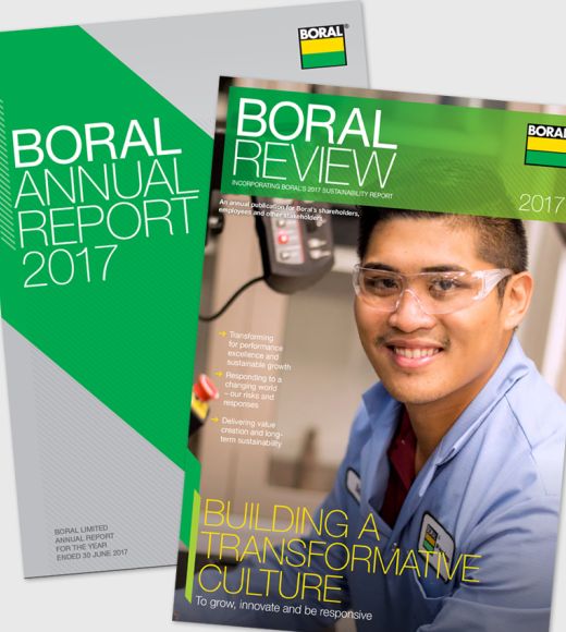 2017 annual reports
