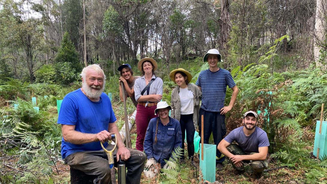 National bushfire recovery work restarts