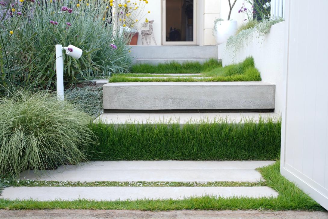 concrete steps surrounded by lush green grass and plants leading to a door