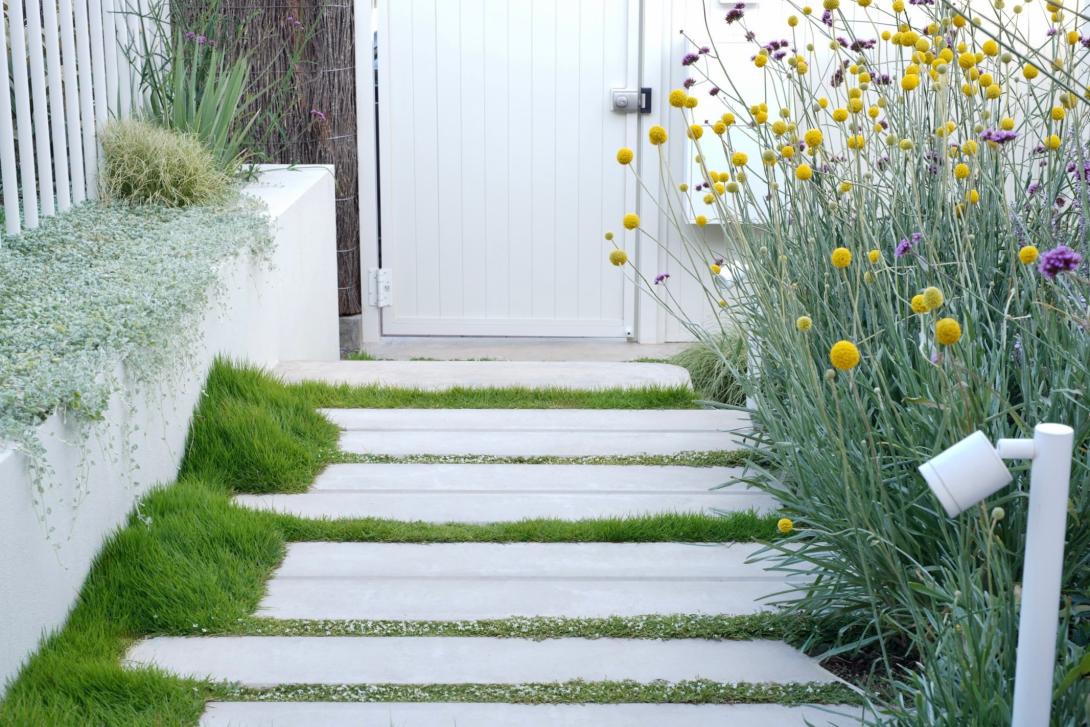 concrete steps surrounded by lush green grass and plants leading to a door