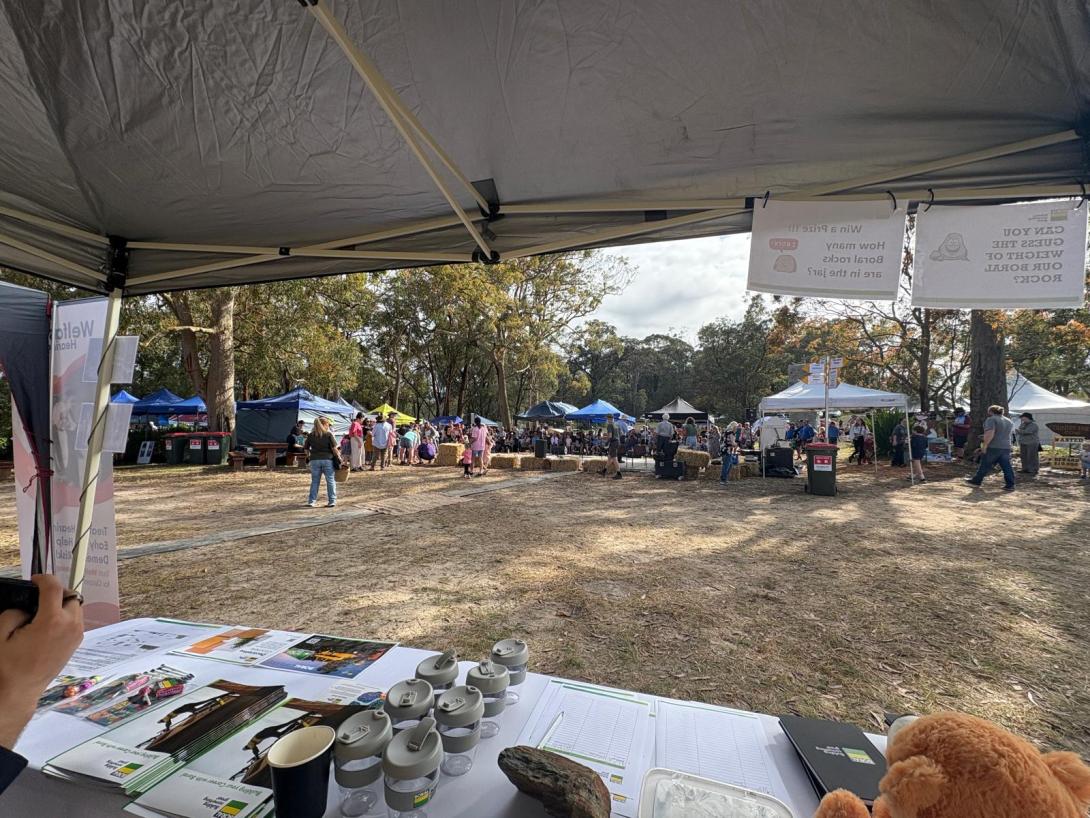 Mangrove Mountain Fair 