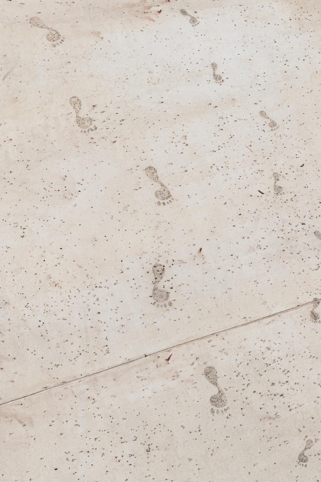 Coloured concrete pathway on Heirisson Island featuring Colori® Turmeric finish, connecting landscaped public spaces near Boorloo Bridge in Perth