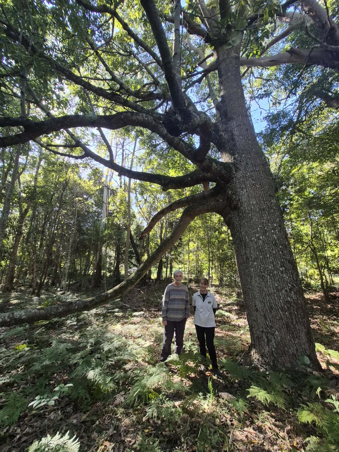 Bob and Sue Durance with an Ormeau Bottle Tree.